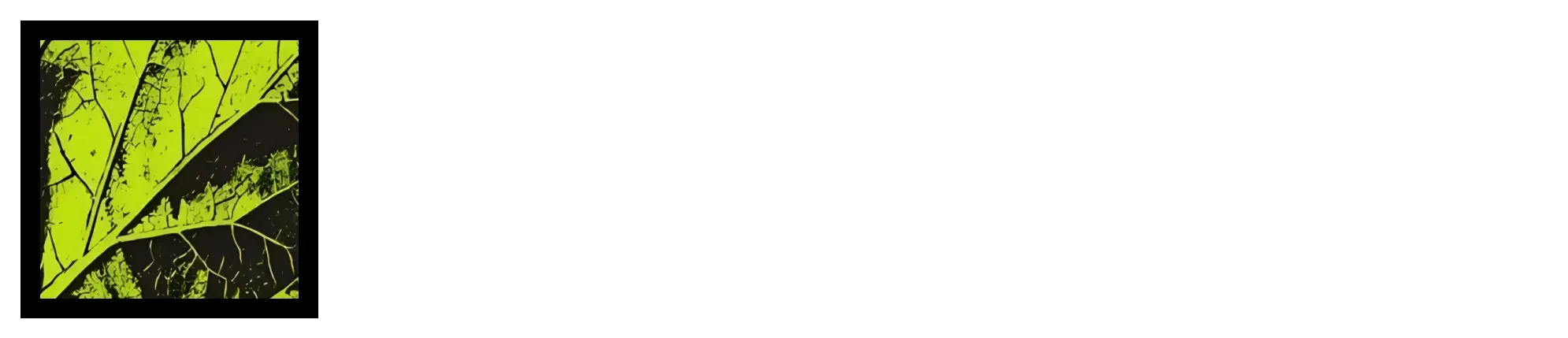 Lemon Technologies